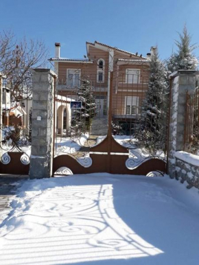 Vila Shameti
